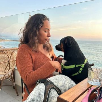 Serviços de Petsitting - Mafra - Treino de Animais