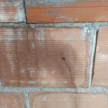 Irmãos à Obra - Odivelas - Poda e Manutenção de Árvores