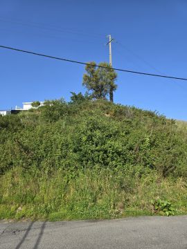 Limpeza de Terrenos - Jardinagem e Relvados