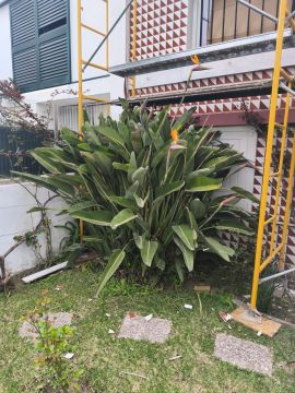Jardinagem e Relvados - Casa