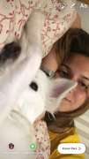 Raquel Lucas - Seixal - Hotel para Gatos