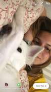 Raquel Lucas - Seixal - Hotel for Cats