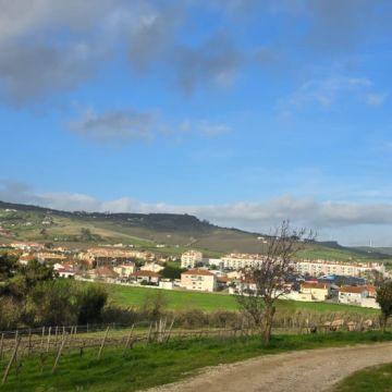 Bar da Quinta da Malafaia - Festas e Eventos - Arruda dos Vinhos - Veranstaltungsort mieten