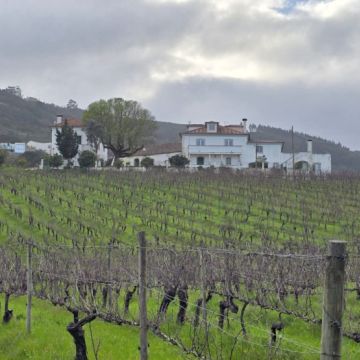 Bar da Quinta da Malafaia - Festas e Eventos - Arruda dos Vinhos - Saalvermietung