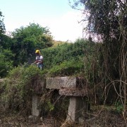 Florestas Renovadas - Braga - Trituración y eliminación de tocones