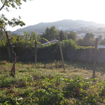 João Rainha - Vila Nova de Famalicão - Corte e Aparação de Relvado