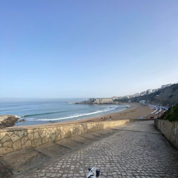 Serviços de Petsitting - Mafra - Pet Sitting