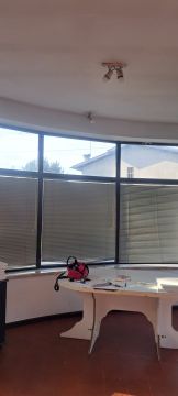 Window Blinds