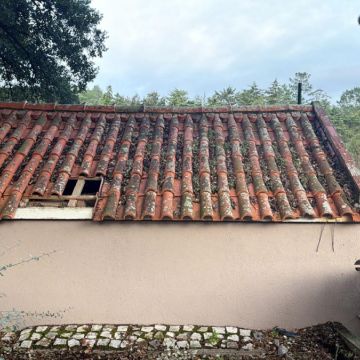 Tania    (HUDSON) - Setúbal - Außenanstrich