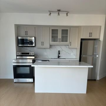 PG ECO Cleaning - Sintra - Motorista