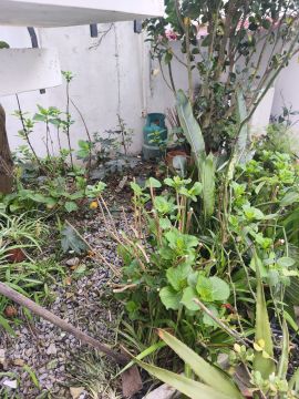 Serviço de Jardinagem - Casa