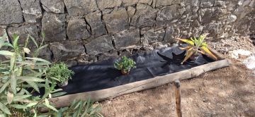 AB Serviços - Tavira - Instalación de césped artificial