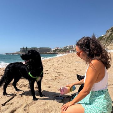 Serviços de Petsitting - Mafra - Dog Sitting