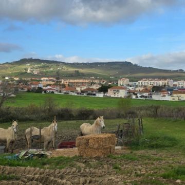 Bar da Quinta da Malafaia - Festas e Eventos - Arruda dos Vinhos - Venue Service