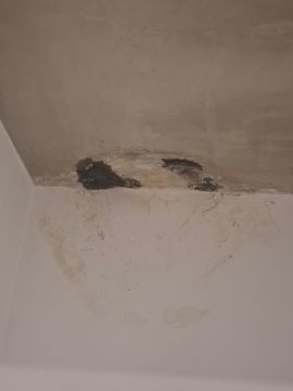 Waterproofing Specialist