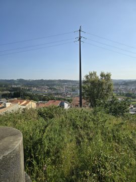Especialista de Limpeza de Terrenos - Casa