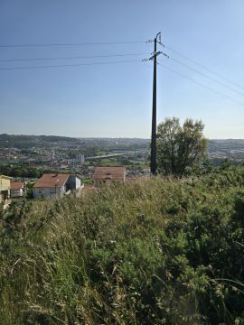 Jardinagem e Relvados
