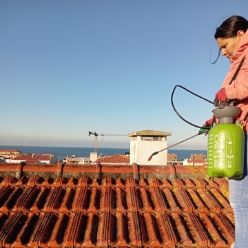 Priscila Pintora - Braga - Limpeza de Telhado