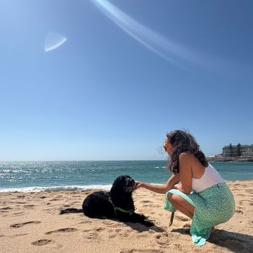 Serviços de Petsitting - Mafra - Hotel para Gatos