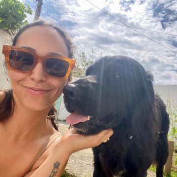 Serviços de Petsitting - Mafra - Dog Sitting
