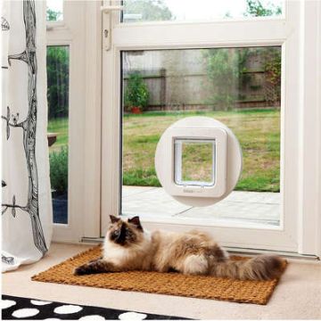 Pet Door Installer