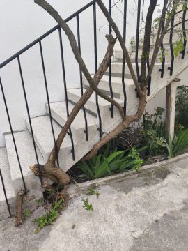 Jardinagem e Relvados