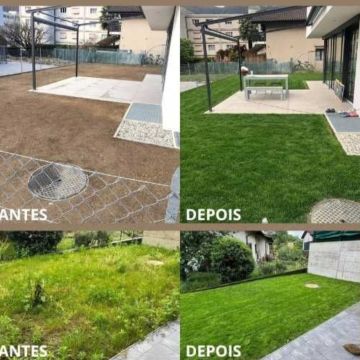 Daniartdesign - Portimão - Tree Trimming and Maintenance