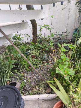 Jardinagem