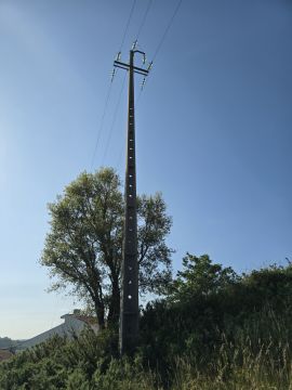 Especialista de Limpeza de Terrenos