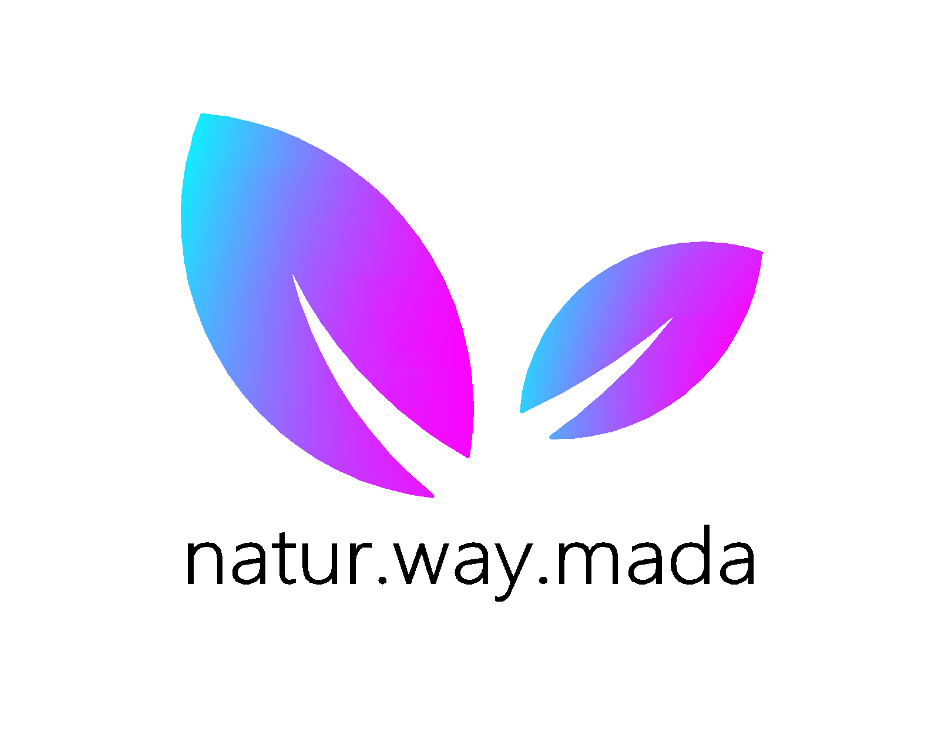 Natur.way.mada - Loures - Sessão de Psicoterapia