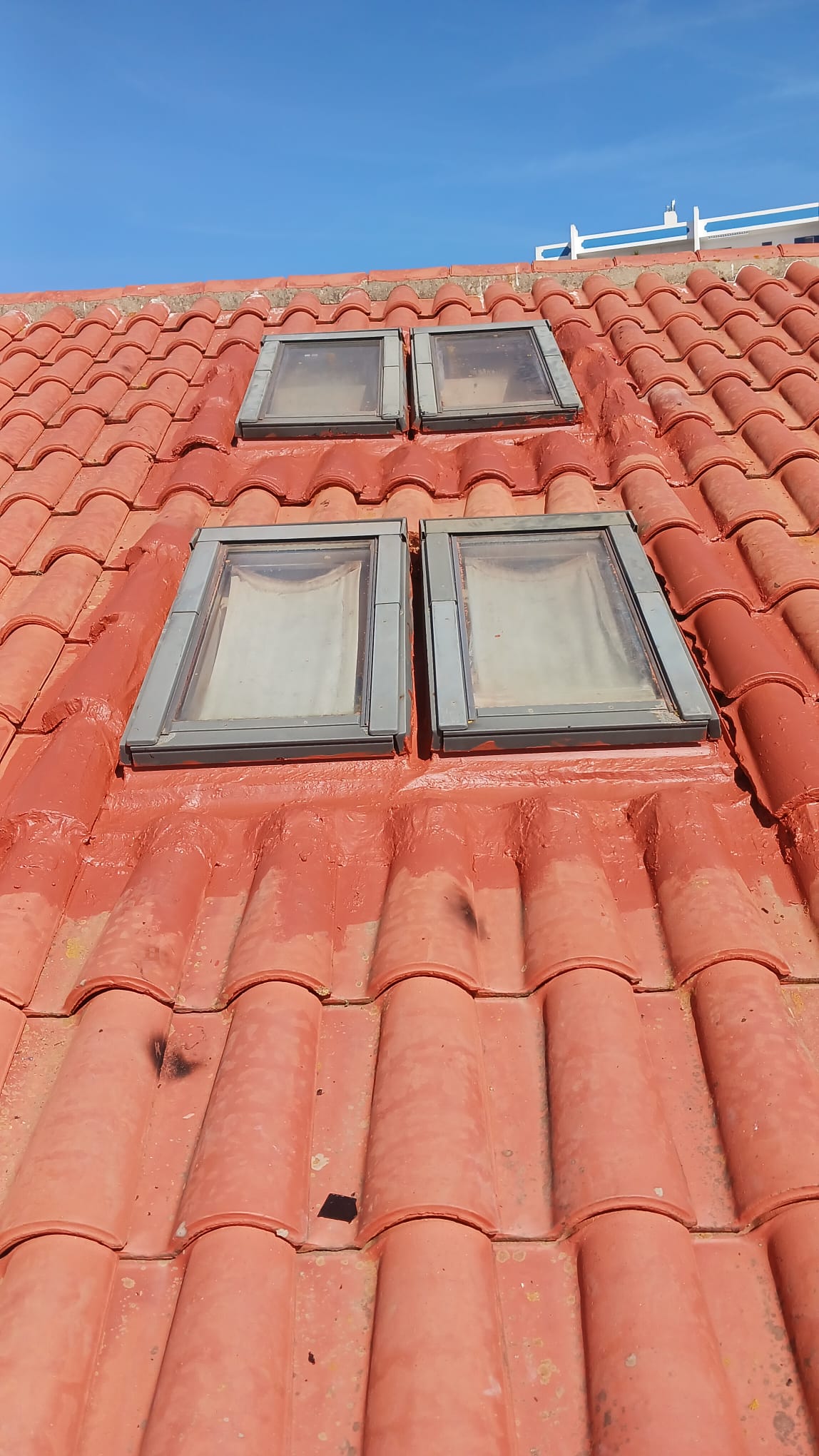 VSHOME - REMODELAÇÕES, LDA - Alcobaça - Corte e Aparação de Relvado