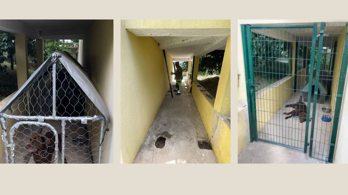 VSHome - Remodelações - Alcobaça - Innenanstrich