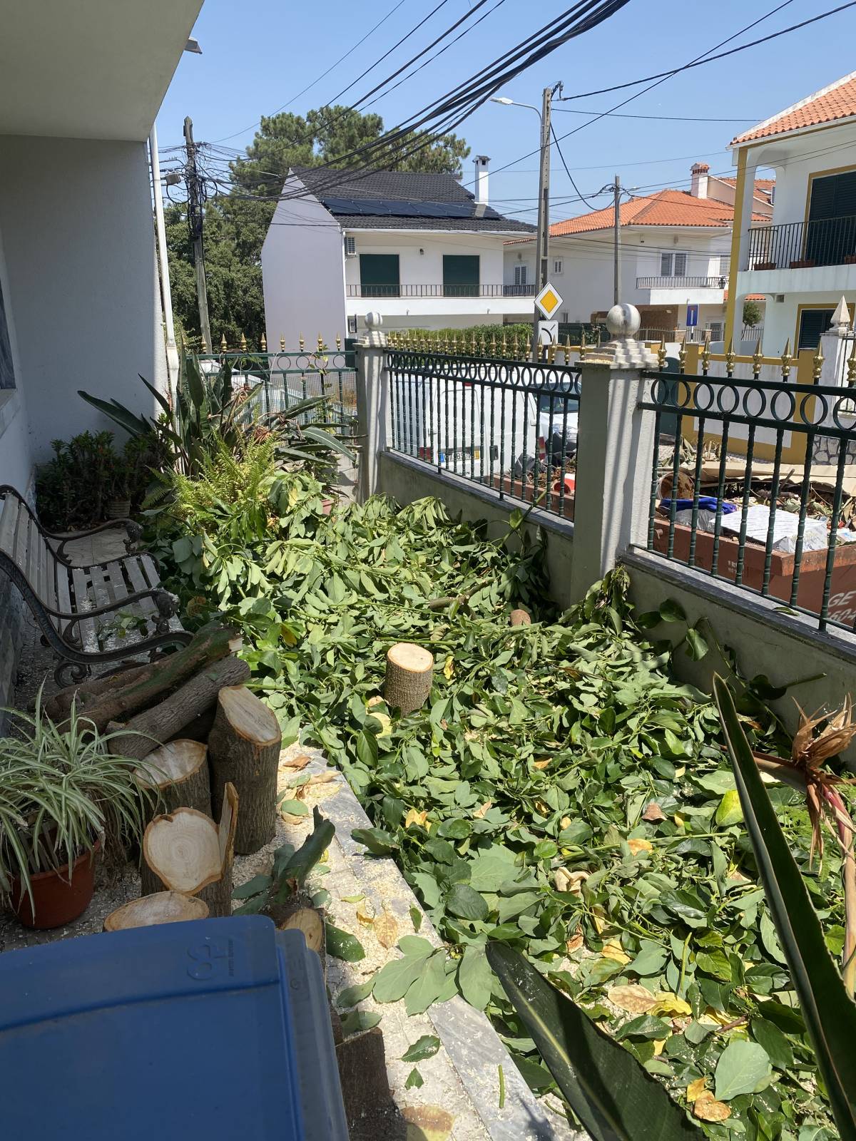 Arbor Nature - Coruche - Tratamento de Relvado