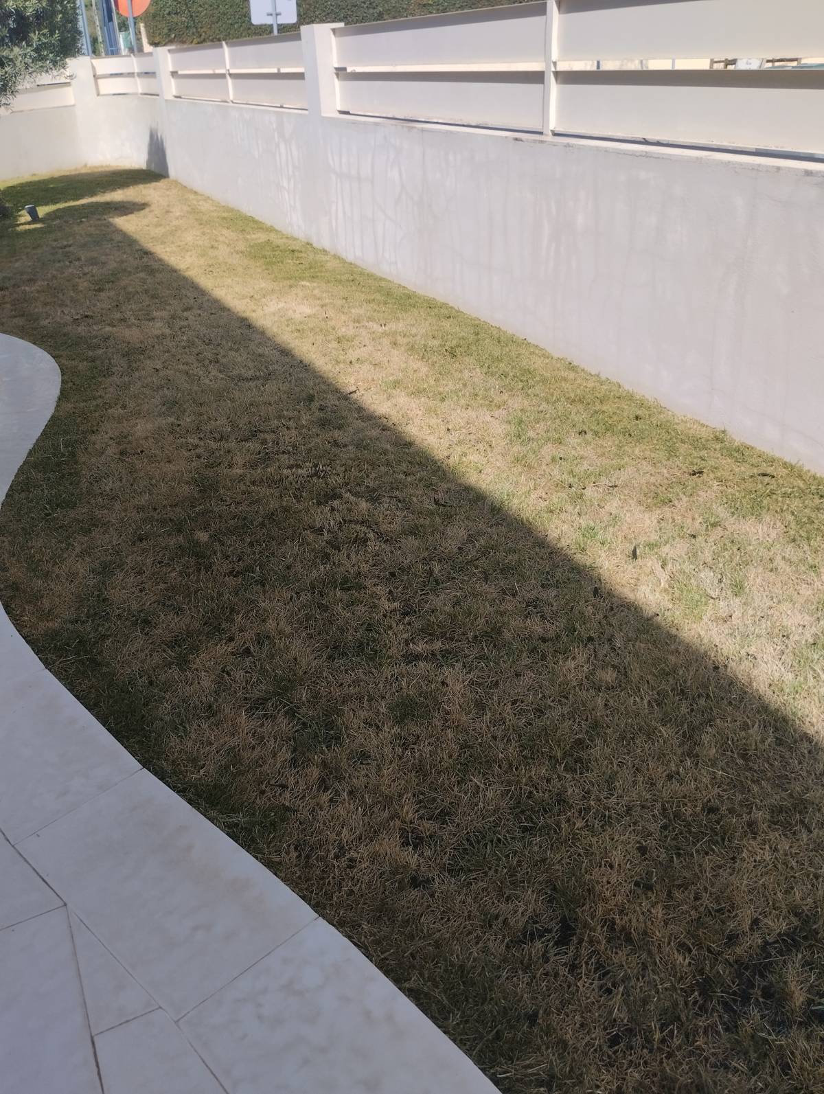 Diogo anjos - Setúbal - Lawn Mowing and Trimming
