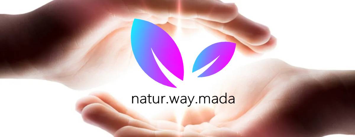 Natur.way.mada - Loures - Coaching de Bem-estar