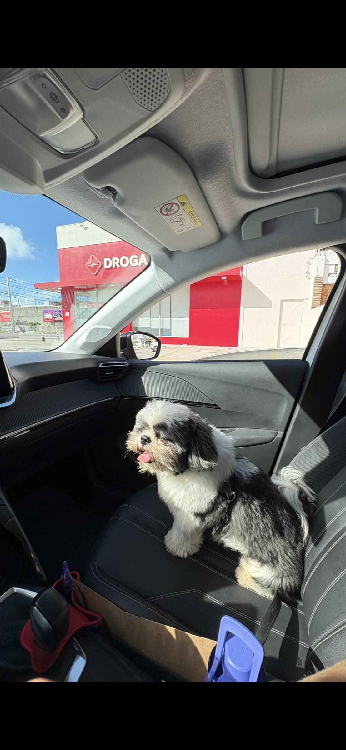 Clarisse Marques - Amadora - Paseador de perros