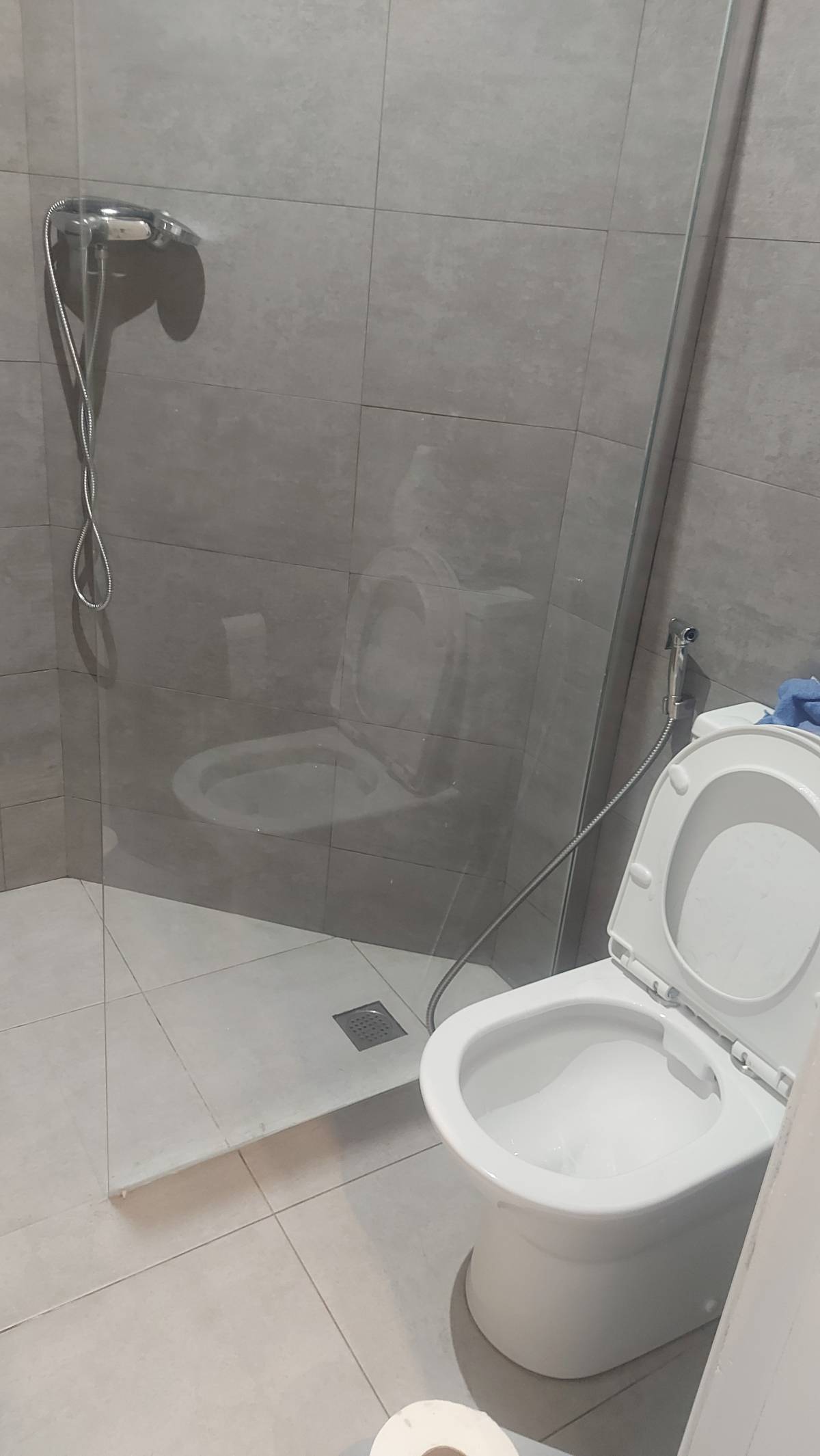 Diessica Cleaning - Amadora - Grundstücksreinigung