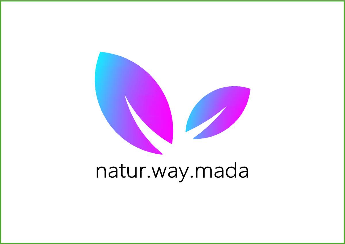 Natur.way.mada - Loures - Sessão de Meditação
