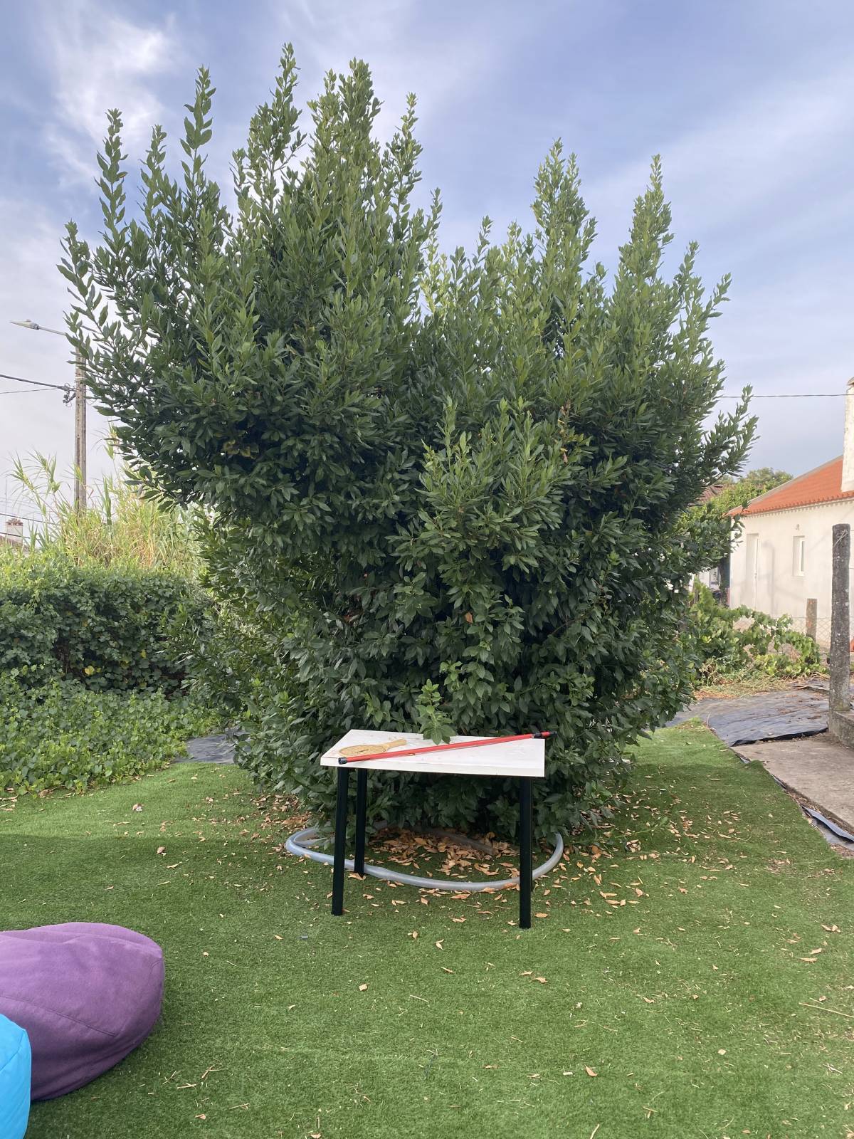 Arbor Nature - Coruche - Instalação de Sistema de Irrigação