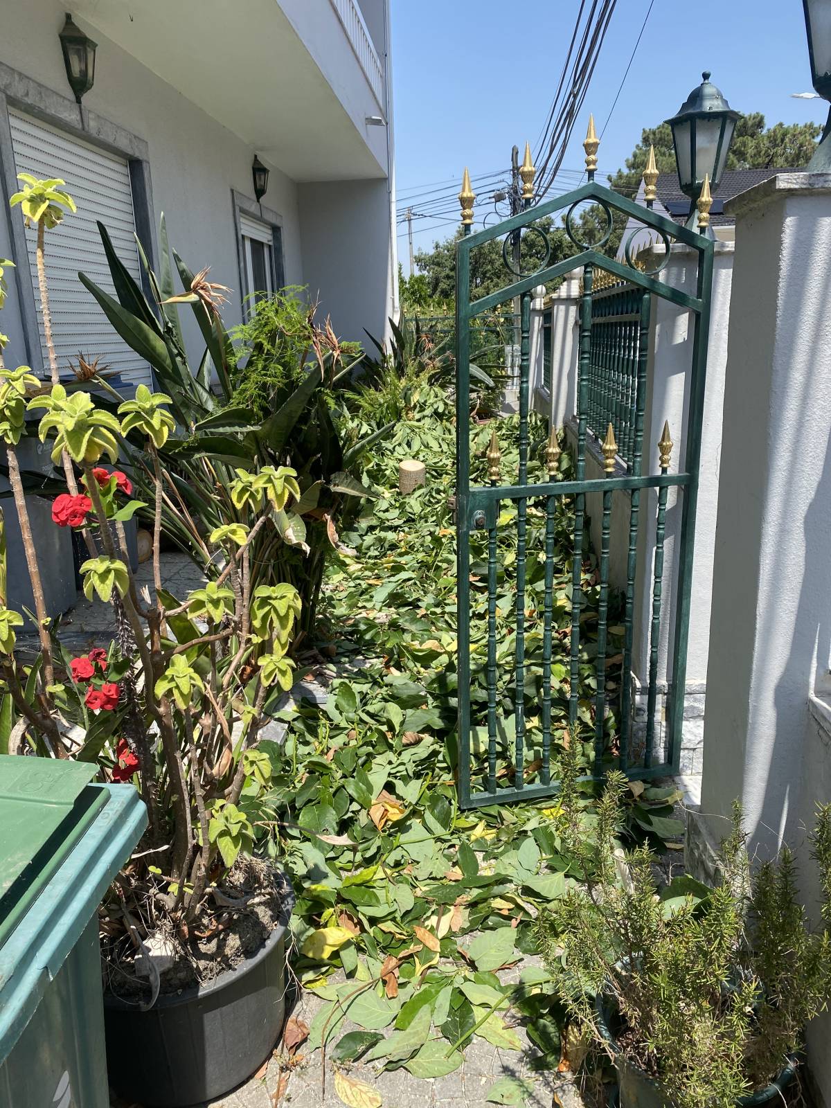 Arbor Nature - Coruche - Instalação de Relva Artificial