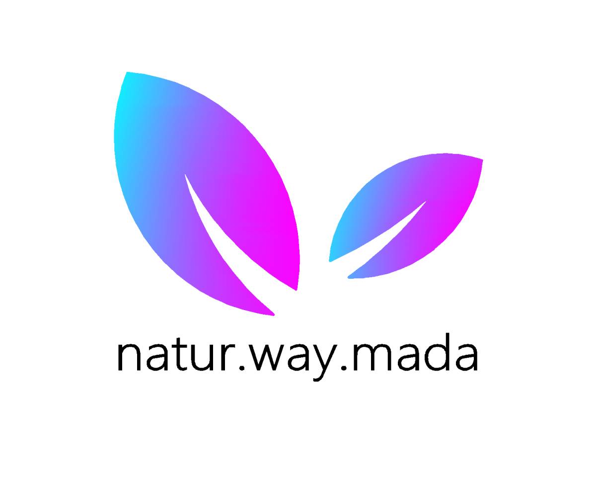 Natur.way.mada - Loures - Tratamento Reiki