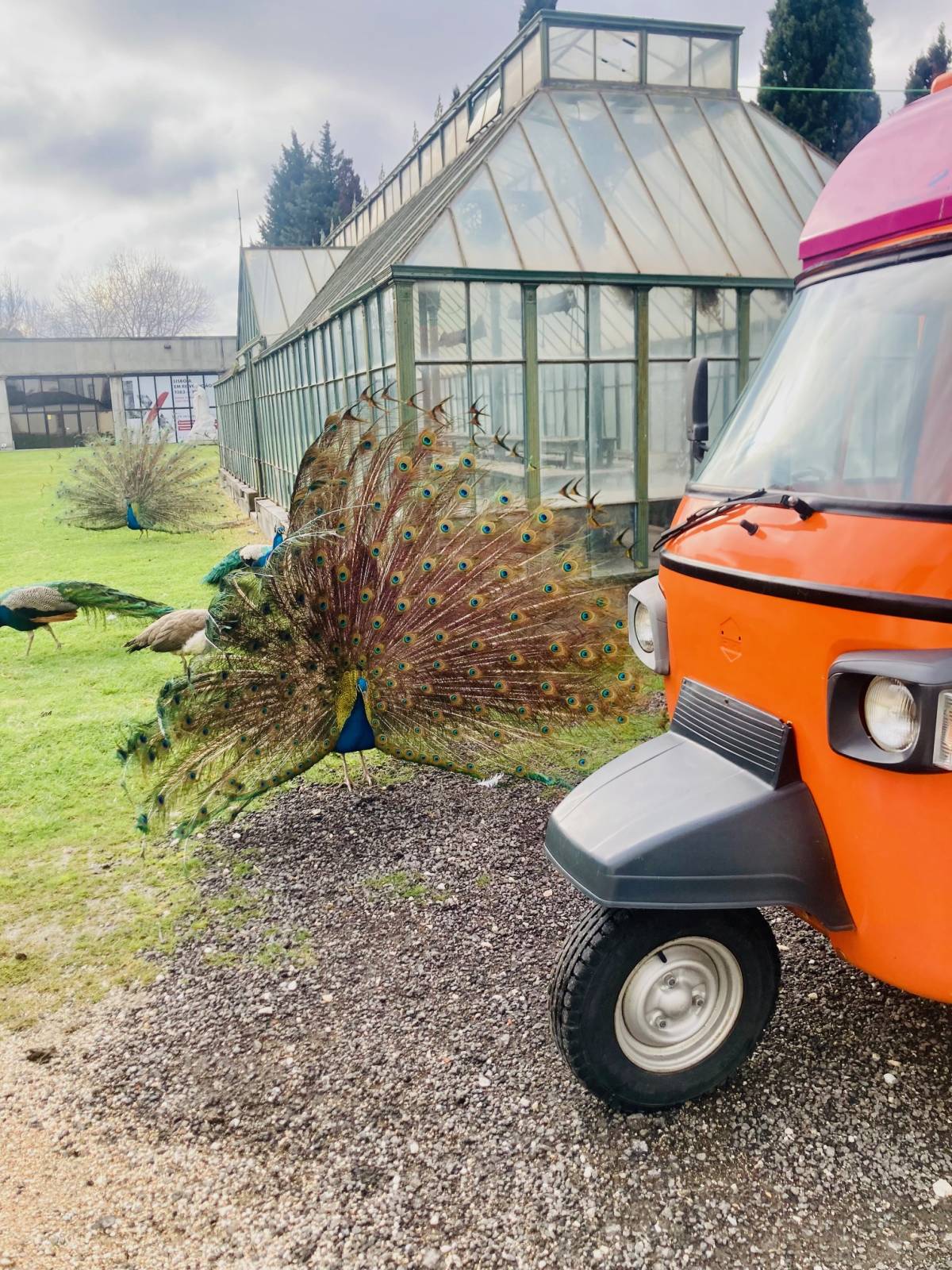 Fiesta Mexicana Portugal Food Truck - Oeiras - Catering para Eventos (Serviço Completo)