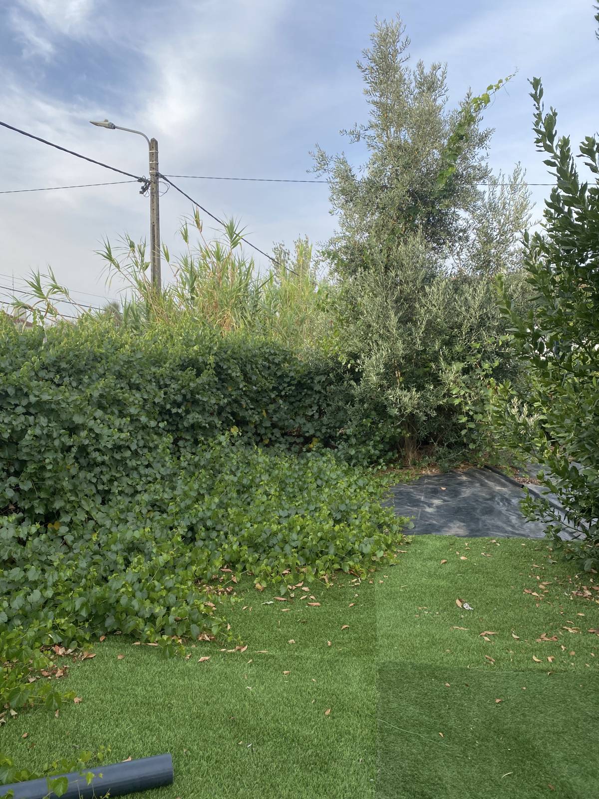 Arbor Nature - Coruche - Instalação de Sistema de Rega Gota a Gota