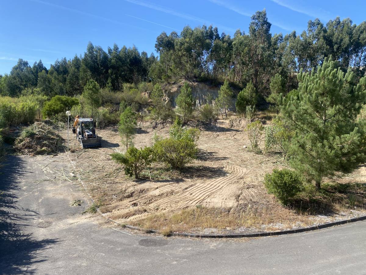 Arbor Nature - Coruche - Remoção de Arbustos