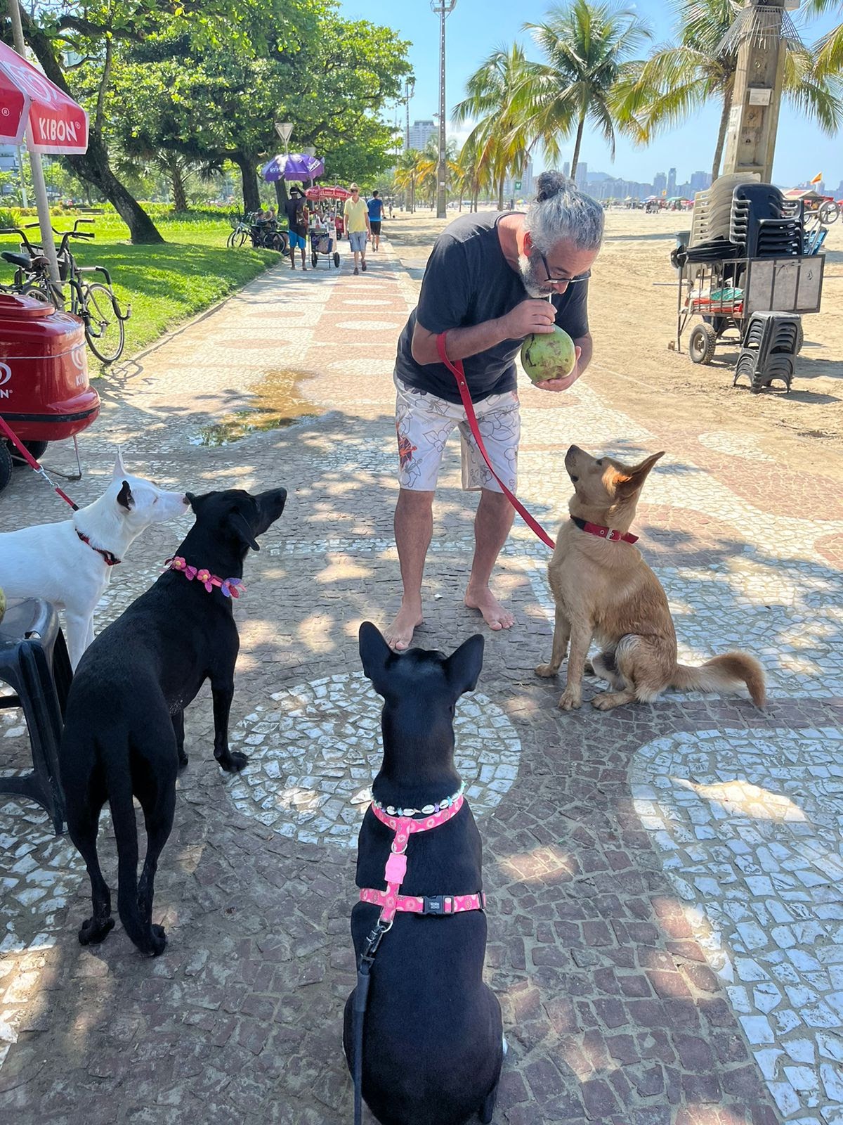 Vladmir Silva - Coimbra - Dog Walking