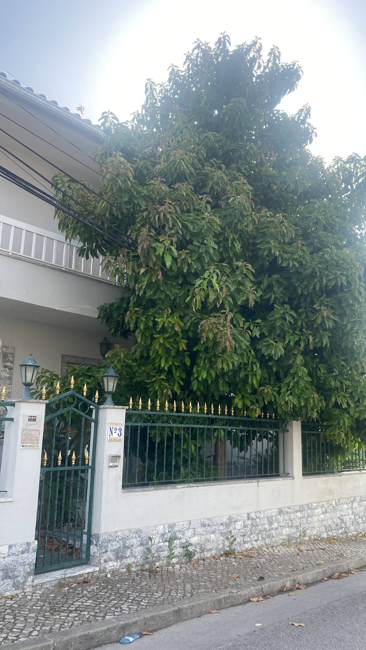 Arbor Nature - Coruche - Paisagismo Exterior