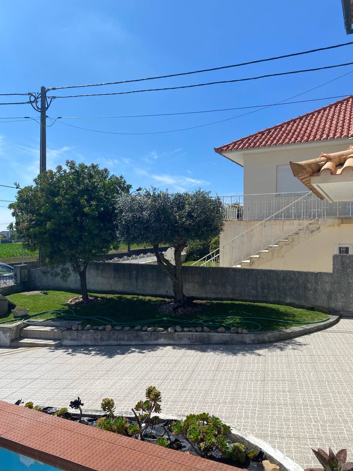 Leandro Coutinho - Esposende - Jardinería