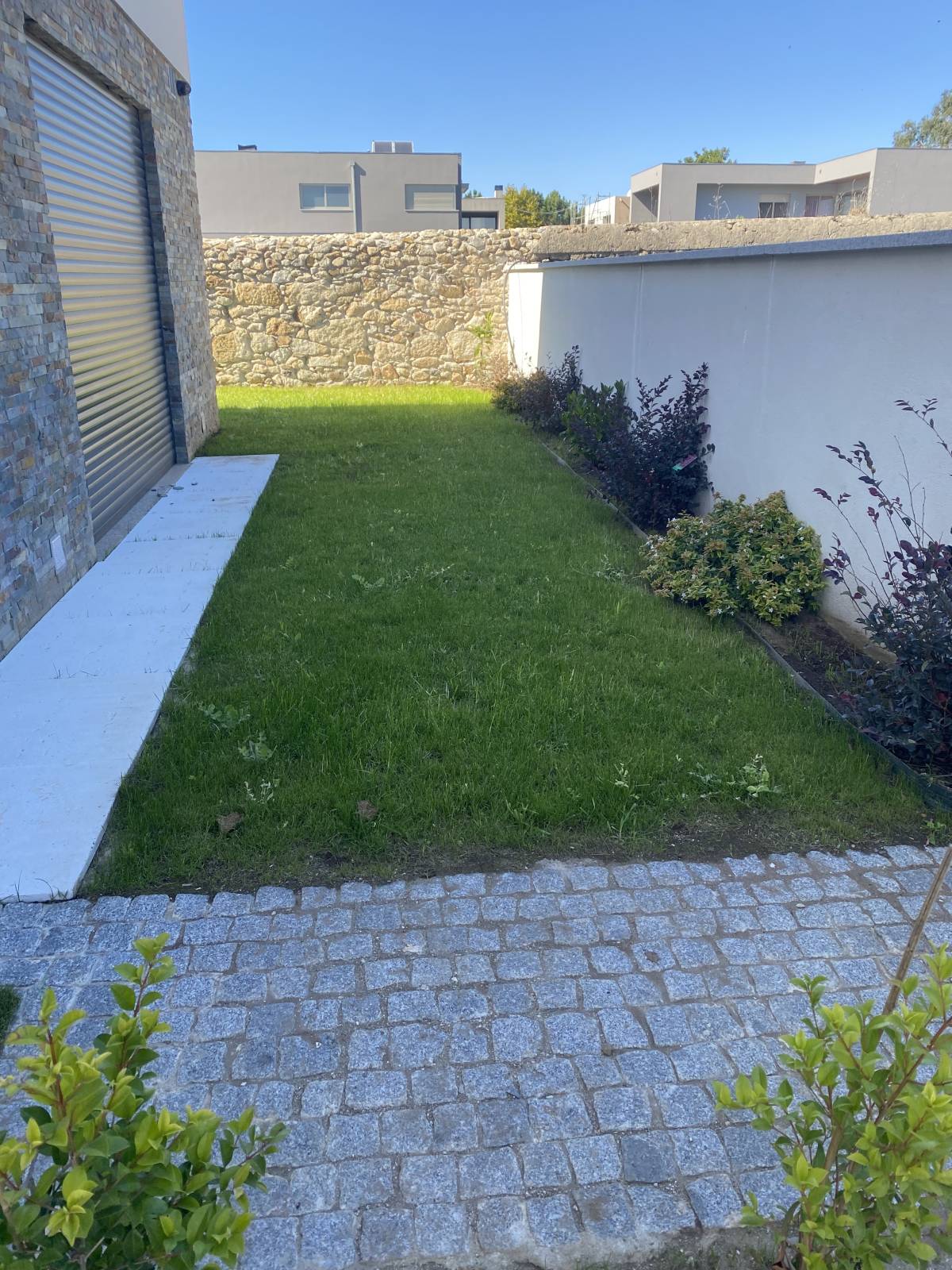Leandro Coutinho - Esposende - Instalación de sistemas de riego por goteo