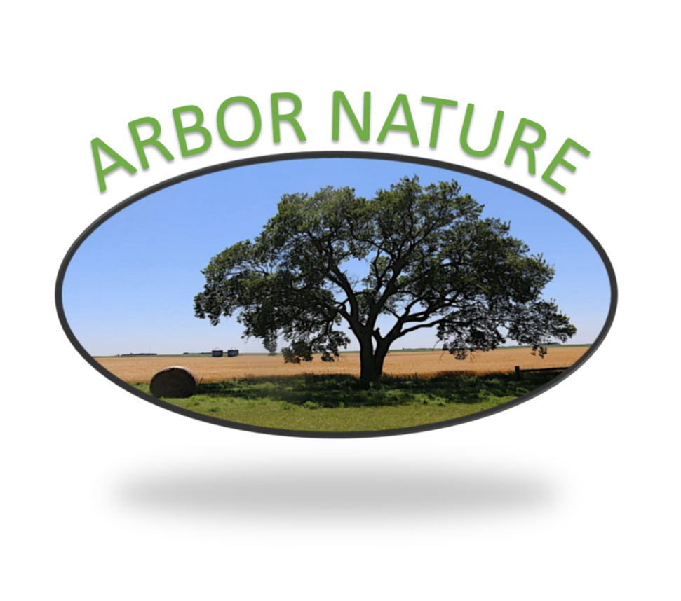 Arbor Nature - Seixal - Remoção de Arbustos
