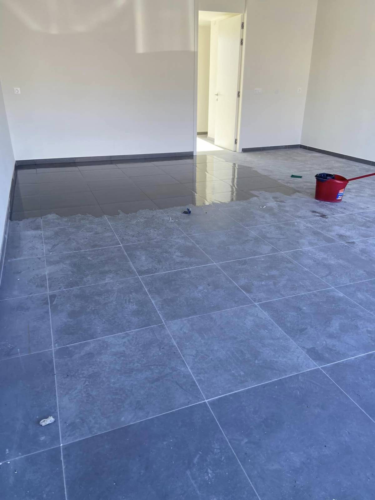 LIMPEX - Braga - Property Cleanup